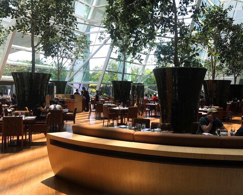 ../Images/z.t.Marina Bay Sands Singapore (5).jpg